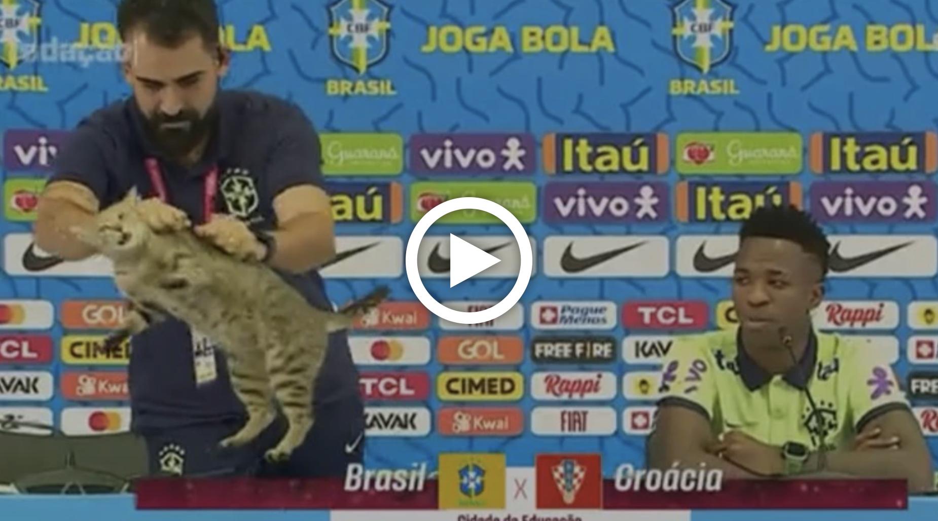 Brasiliens Pressesprecher schmeißt Katze von Podium - Vinicius Jr. reagiert irritiert