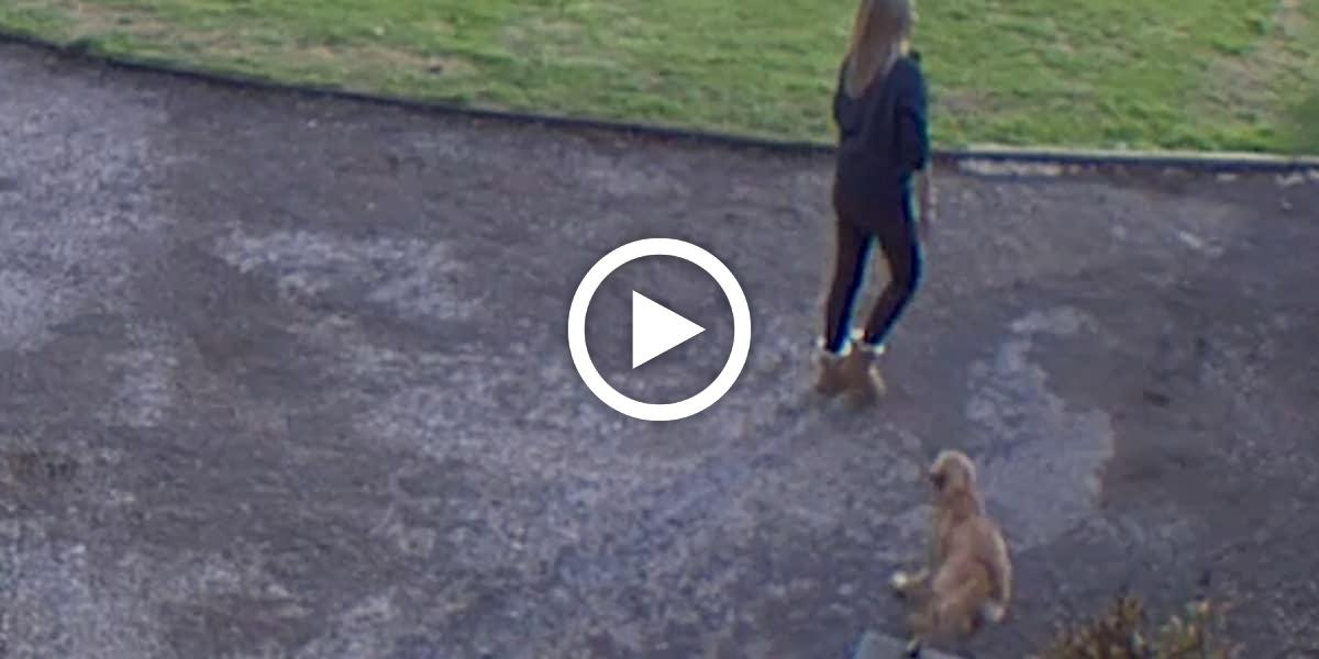 Als Frau in Garten geht, tackelt sie ihr Hund von hinten um