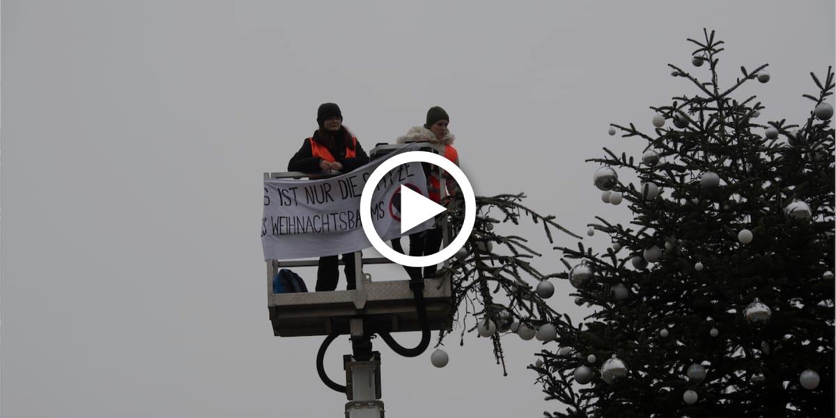 Klima-Aktivisten sägen Weihnachtstanne in Berlin ab und Polizei schaut zu